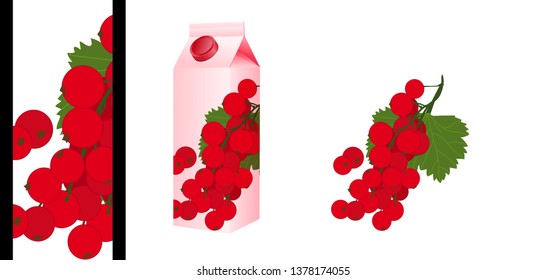 Vector illustration of a bunch of currants, framed in close-up to decorate a fruit juice packaging.