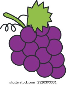 Ilustración vectorial del racimo de uvas. Fruta.