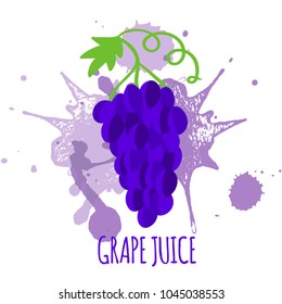 Vector illustration of bunch of grapes  with text Grape Juice on watercolor splashes background for grapes juice package and label design, poster, print, shop decoration
