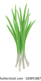 Ilustración vectorial de un montón de cebolla verde.