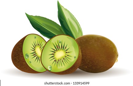 Vector illustration of a bunch of kiwi fruits.