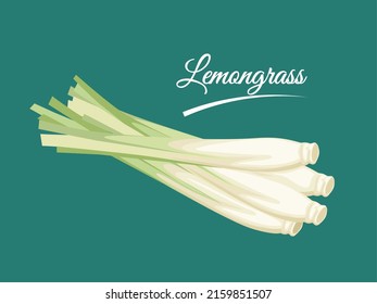 Vector illustration of a bunch of lemongrass or Cymbopogon, isolated on green background.