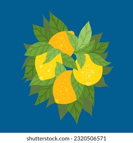 Vector illustration of a bunch of lemons with foliage on a blue background. Postcard with tropical fruits. Hand drawn flat clipart lime on the branches.