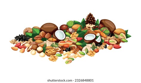 Vector illustration of a bunch of nuts and seeds in cartoon style. A bunch of sunflower, pumpkin, walnut, cola, pistachio, peanut, pine, chestnut, pecan, coconut, Brazilian, nutmeg, hazelnut, almond  