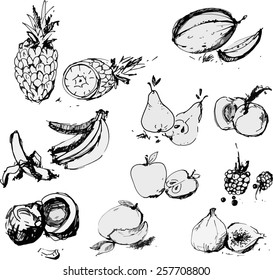 Vector illustration - bunch of organic fruit