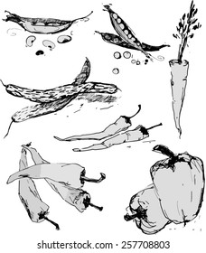 Vector illustration - bunch of organic vegetables