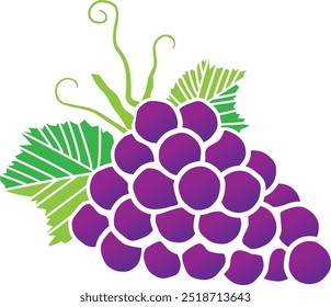 Ilustración vectorial de un racimo de uvas de concordia púrpura aisladas sobre fondo blanco