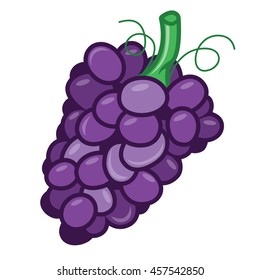 Vector Illustration of a bunch of purple grapes