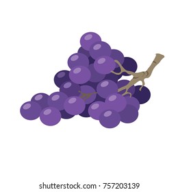 vector illustration of a bunch of purple grapes
