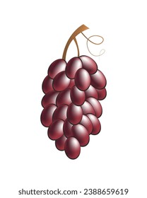 Vector illustration of a bunch of red grapes. Cartoon style on white isolated background.