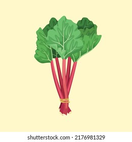 Vector illustration of a bunch of rhubarb. Summer fruits and vegetables.