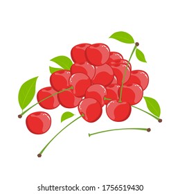 Vektorgrafik eines Hundes reifer Kirschen auf weißem Hintergrund. Natürliche, realistische Anordnung von Beeren, Blättern und Stielen.