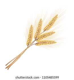 Vector Illustration. Bunch of wheat ears.