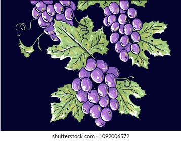Vector illustration with bunches of grapes.