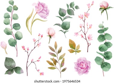 Vector illustration - Bundle of Peony flowers and green leaves in watercolor vector hand painting. Flowers for invitations, weddings, and greeting cards in the spring or summer.