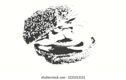 Vektorgrafik eines Burgers, schwarz-weiß.
