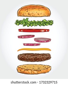 Vector illustration of a burger, hamburger or cheeseburger with flying ingredients on a white background.