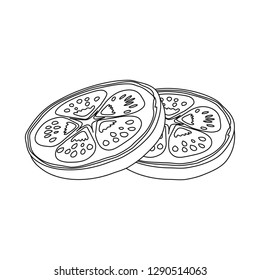 Vector illustration of burger and sandwich logo. Collection of burger and slice stock symbol for web.