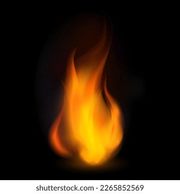 vector illustration of burning fire flame on dark background