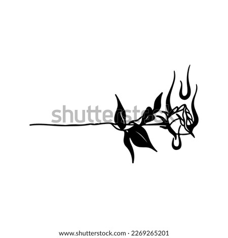 vector illustration of a burning rose