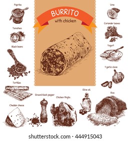 Vector illustration of burrito ingredients. Hand drawn colorful illustration on white background