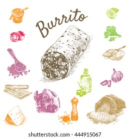 Vector illustration of burrito ingredients. Hand drawn colorful illustration on white background