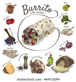 Vector illustration of burrito ingredients. Hand drawn colorful illustration on white background