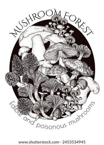 Vector illustration of a bush of edible and poisonous forest mushrooms. Chanterelles, porcini mushroom, honey mushrooms, fly agaric, morel