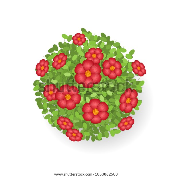 Vector Illustration Bush Garden Flowers Top Stock Vector