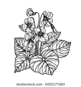 Vector illustration of a bush of violets in engraving style