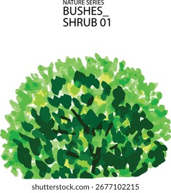 Ilustración vectorial de arbustos o arbustos 01