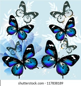 Vector illustration with butterflies