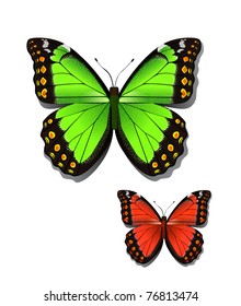 Ilustración vectorial de las mariposas