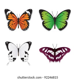 Ilustración vectorial de las mariposas