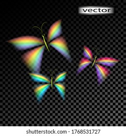 Vector illustration of butterflies iridescent shining from light on a transparent background