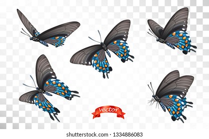 Vector illustration butterflies isolated on transparent background. Collection set of colorful butterflies for logo. Valentine's day or spring sale print design.  Wedding card and decoration concept. 