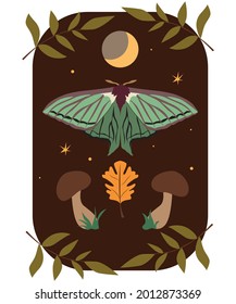 vector illustration of butterflies and mushrooms on a background of stars and moon