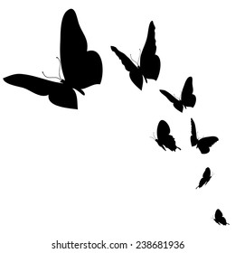 Vector illustration of butterflies on a white background.