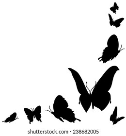 Vector illustration of butterflies on a white background.