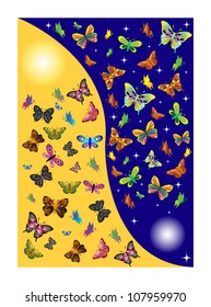 Vector illustration of butterflies in one day.