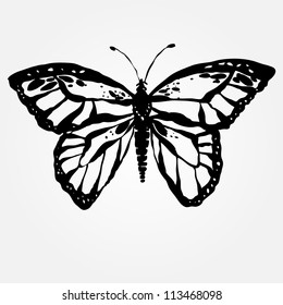 Vector illustration with butterfly