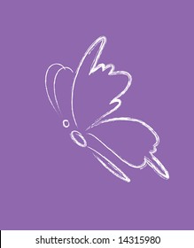 vector illustration of butterfly