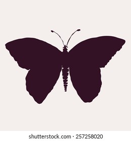 Vector illustration with butterfly