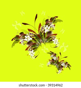 vector illustration of butterfly