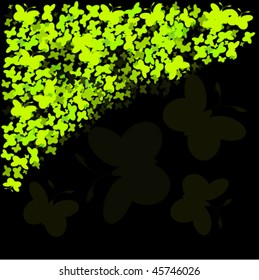 vector illustration of butterfly