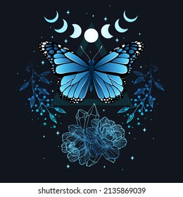 Ilustración vectorial con mariposa