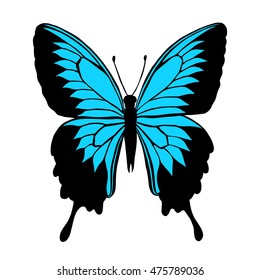 Vector illustration of butterfly with black and blue wings