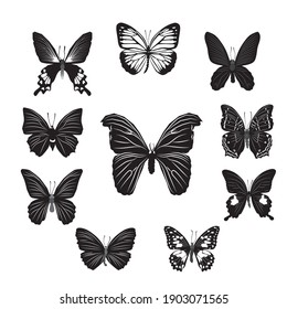 Vector illustration of butterfly cartoon on white background