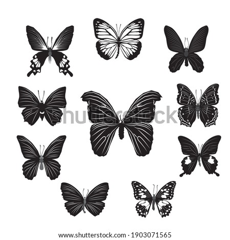 Vector illustration of butterfly cartoon on white background