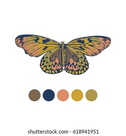 Vector illustration. butterfly with color samples for  fashion trends.palette colors fall 2017